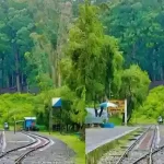 Lovedale railway station