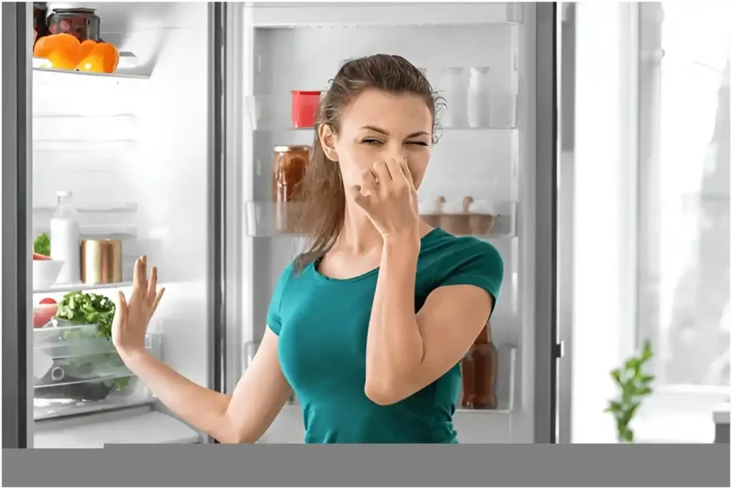 freezer bad smell