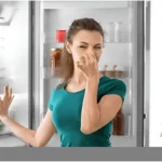 fridge bad smell